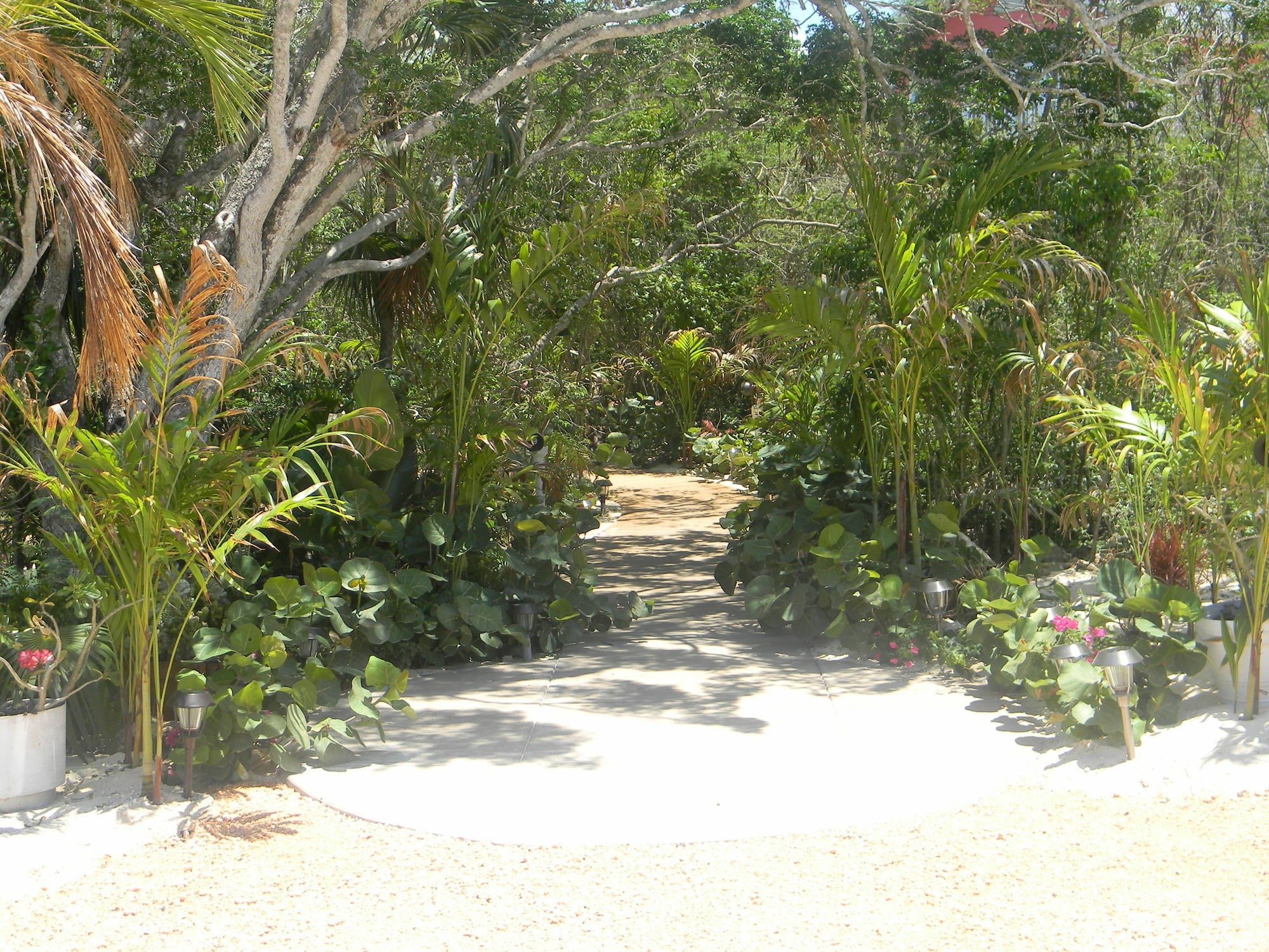 Clarence Town Harbor Breeze Villas מראה חיצוני תמונה