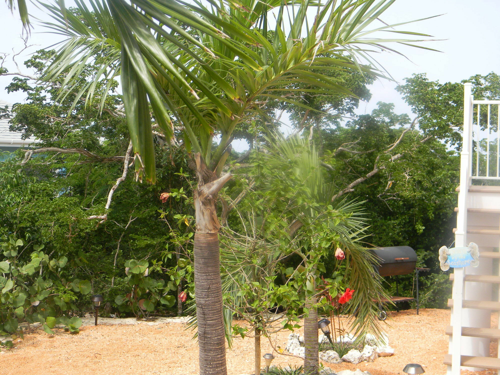 Clarence Town Harbor Breeze Villas מראה חיצוני תמונה