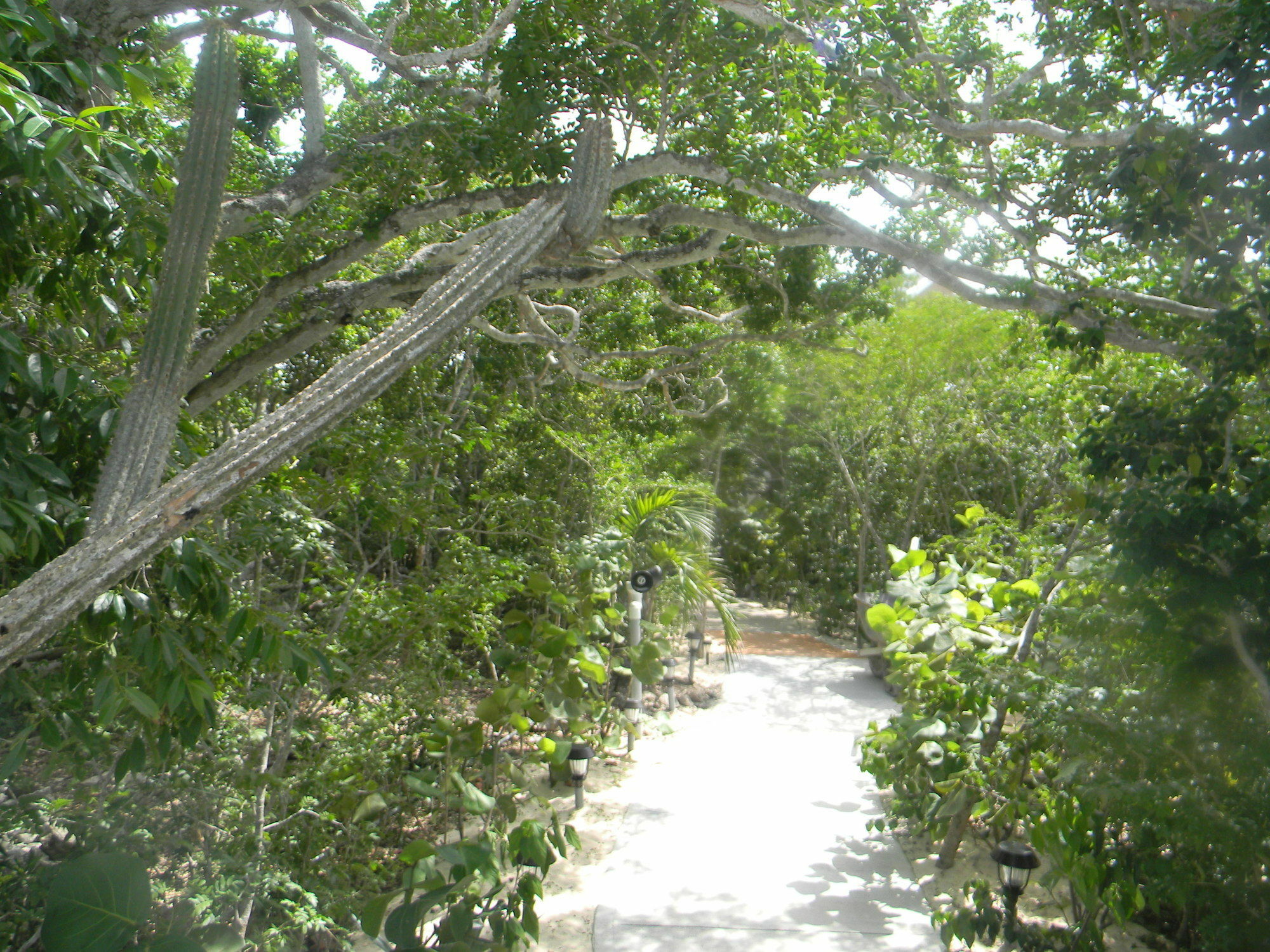 Clarence Town Harbor Breeze Villas מראה חיצוני תמונה