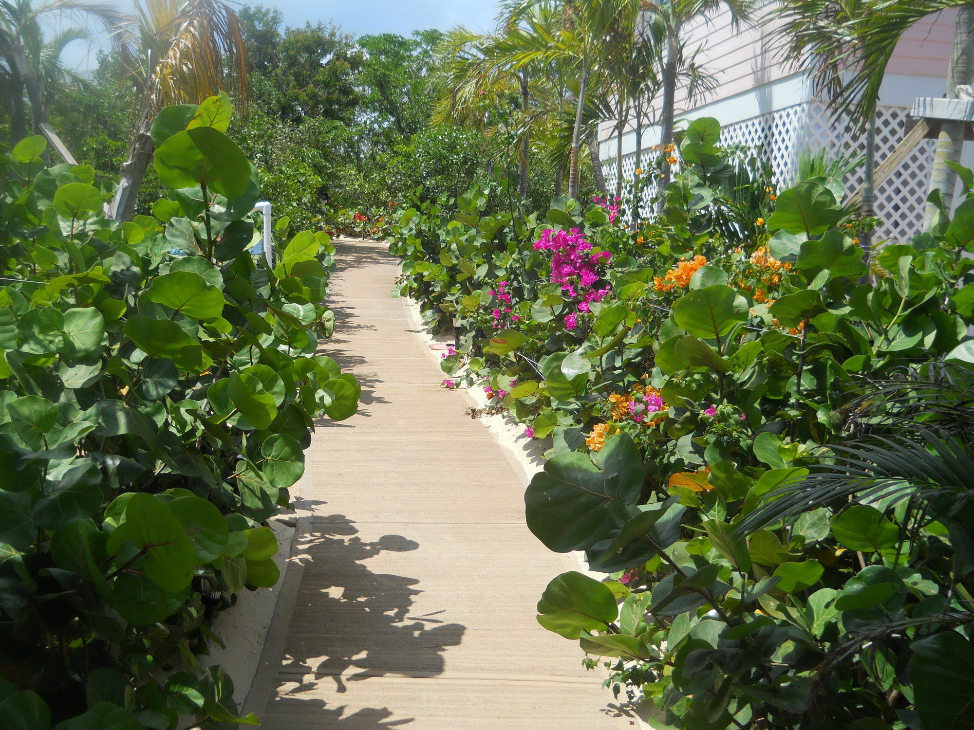 Clarence Town Harbor Breeze Villas מראה חיצוני תמונה