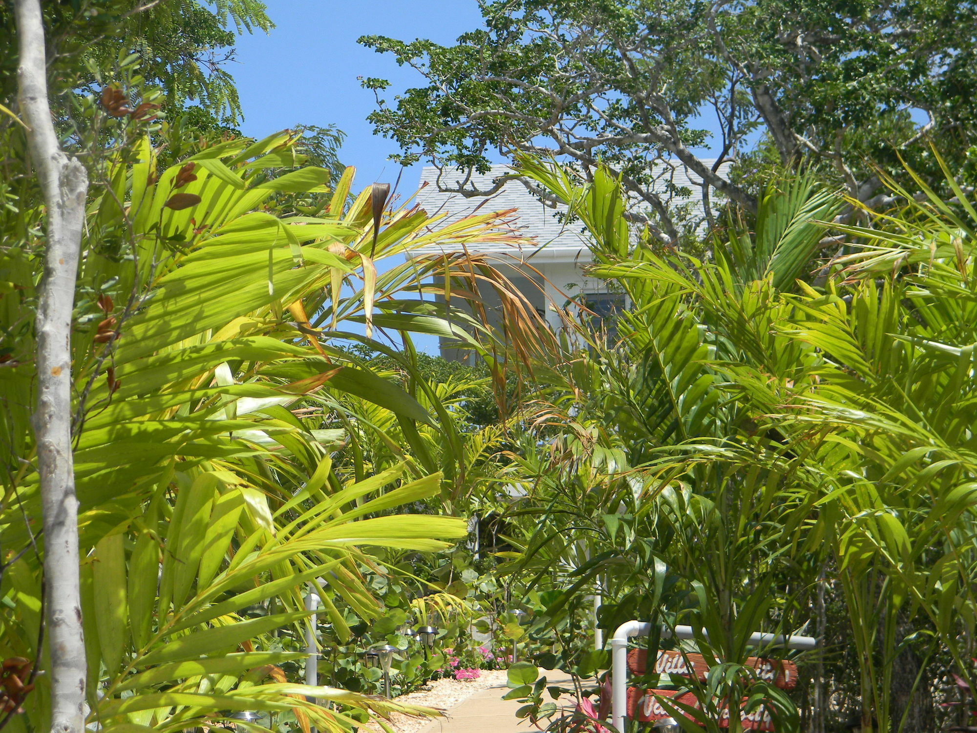 Clarence Town Harbor Breeze Villas מראה חיצוני תמונה